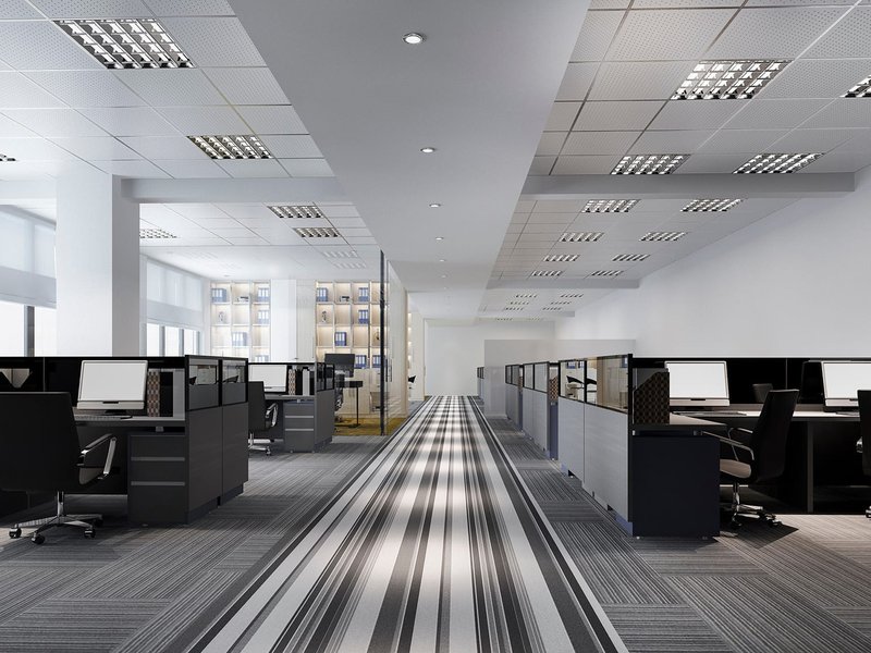 Which Carpets Are Best for High-Traffic Areas in Albany, NY?